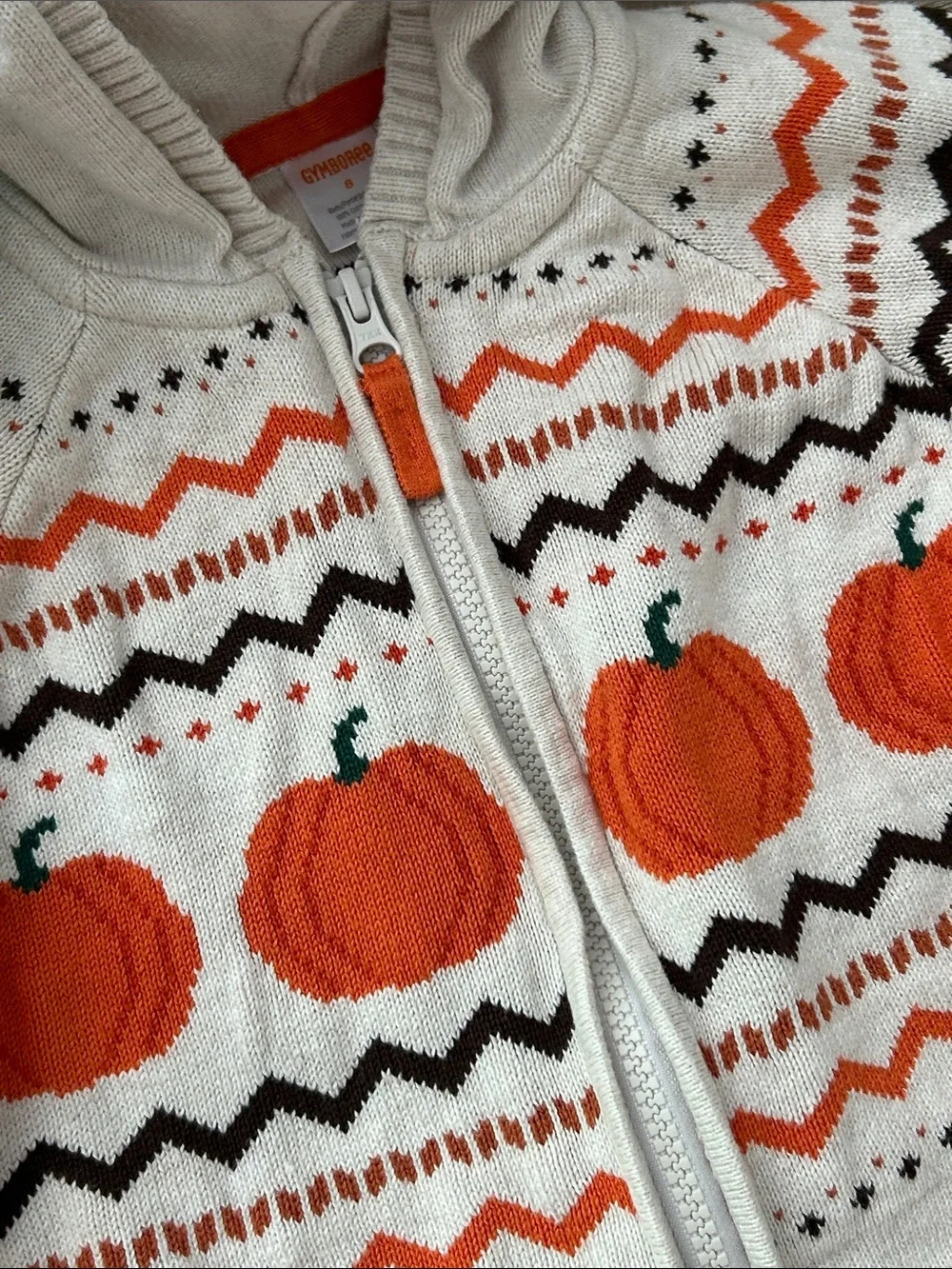 Gymboree Fall Harvest Pumpkin Cream Hooded Zip Cardigan Sweater